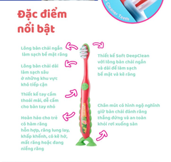 BÀN CHẢI ĐÁNH RĂNG CHO BÉ FLOSSBRUSH TỪ 3-6 TUỔI - BRUSH-BABY