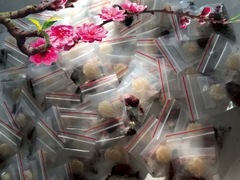 Set 10 túi yến bé