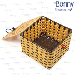 Hộp nhựa giả mây