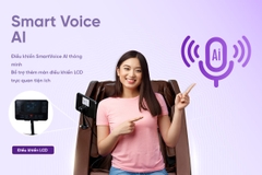 Ghế massage 3D Toshiko T63