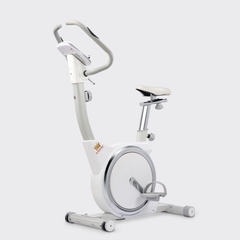 XE ĐẠP TẬP KINGSPORT KS-102