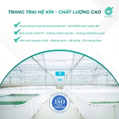 COMBO MUA 3 TẶNG 1 NGŨ CỐC TẢO XOẮN SPINUTRI 400G