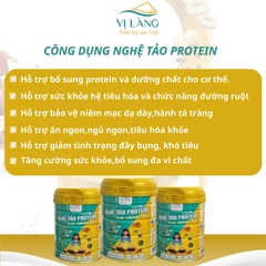 Nghệ Tảo Protein Đậu & Hạt Vị Làng 650G Hỗ Trợ Tiêu Hóa, Bổ Sung Protein Thực Vật, Thay Thế Bữa Ăn