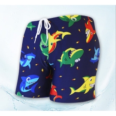 Đồ bơi bé trai size12-40kg (có thể mua combo +kính)