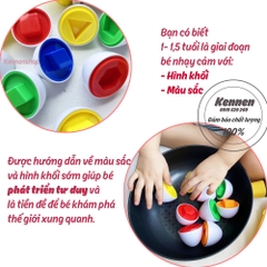 Đồ chơi tư duy Trứng màu sắc hình khối cho bé từ 1 tuổi