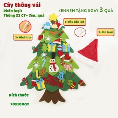 Quất tết 2025 - Thông 2025