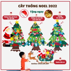 Quất tết 2025 - Thông 2025