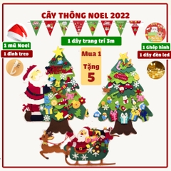 Quất tết 2025 - Thông 2025