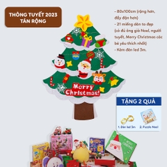 Quất tết 2025 - Thông 2025