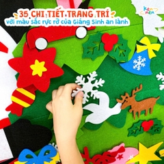 Quất tết 2025 - Thông 2025
