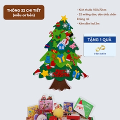 Quất tết 2025 - Thông 2025