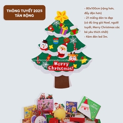 Quất tết 2025 - Thông 2025