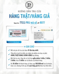 Son Khử Thâm Dưỡng Hồng Môi Mibiti Prudente Biowhite L1A