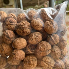 Quả Óc Chó