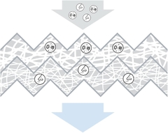 Lọc gió điều hòa ngoài MERCEDES-BENZ E-Class W211 (2002-2009); CLS-Class C219 (2004-2010) chính hãng Bosch Aeristo (1987432081)