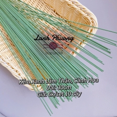 Kẽm Xanh Làm Thân Hoa (10 cây)