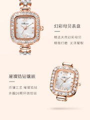 Đồng Hồ Nữ ABORNI YBN-8829 ( 1 MÀU )