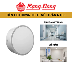 Đèn Led Downlight nổi trần Rạng Đông NT03 ánh sáng trắng/ đổi màu đèn, kèm thanh giá rời, Chip Led Hàn Quốc cao cấp.