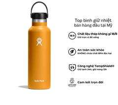 Bình giữ nhiệt Hydro Flask 21 Oz Standard Flex Cap có nắp xoay