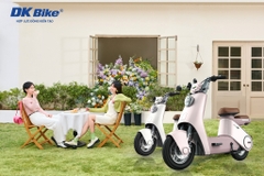 Xe đạp điện DK Lyva Cola