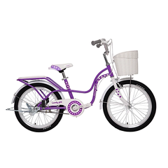 Xe đạp trẻ em Thống Nhất Neo 20-04 (Dành cho bé từ 6 - 10 tuổi)
