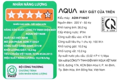 Máy giặt Aqua 10 KG AQW-F100GT.BK