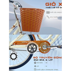 Xe đạp Tekko C200 – kích cỡ 20 và 24 inch - Xe đạp học sinh - Phù hợp với người cao từ 1m10 đến 1m60