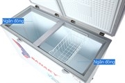 Tủ đông Sanaky Inverter 270 lít TD.VH3699A4K
