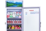 Tủ mát Sanaky 290 lít TM.VH358KL