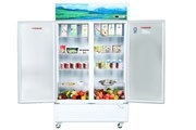 Tủ mát Sanaky Inverter 1100 lít TM.VH1209HP3