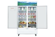 Tủ mát Sanaky 1100 lít VH-1209HP