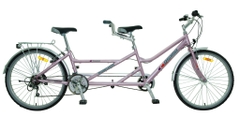 Xe đạp đôi Asama AMT49