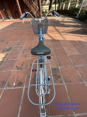 Xe đạp thông dụng Wahama mini 26 inch
