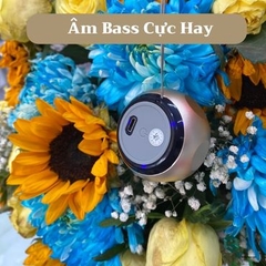 Loa Bluetooth Mini Cao Cấp Hàng Chính Hãng -  Kết Nối Được Mọi Thiết Bị Smartphone Chất Liệu Hợp Kim Độc Đáo