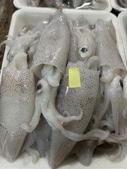 Mực ống tươi (loại 20-22 con/kg)