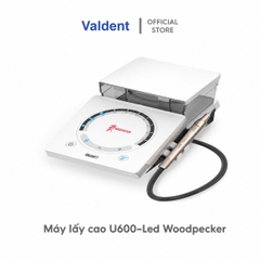 Máy lấy cao U600-Led Woodpecker