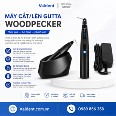 Máy cắt/lèn gutta Woodpecker