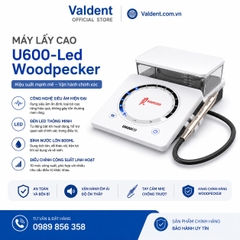 Máy lấy cao U600-Led Woodpecker