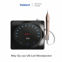 Máy lấy cao U6-Led Woodpecker
