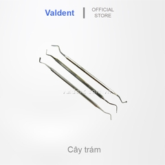 Cây trám răng