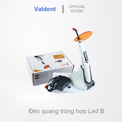 Đèn trám răng LED B WOODPECKER - Đèn quang trùng hợp [ Hàng chính hãng]