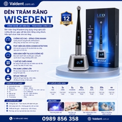 Đèn trám răng Wisedent