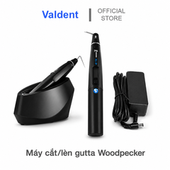 Máy cắt/lèn gutta Woodpecker