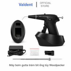 Máy bơm gutta trám bít ống tủy Woodpecker