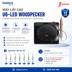 Máy lấy cao U6-Led Woodpecker