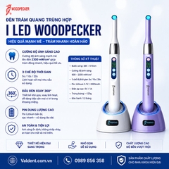 Đèn trám quang trùng hợp I-Led Woodpecker