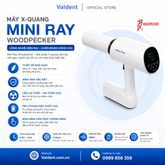 X-Quang Mini Ray Woodpecker
