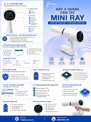 X-Quang Mini Ray Woodpecker