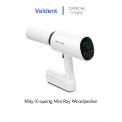 X-Quang Mini Ray Woodpecker