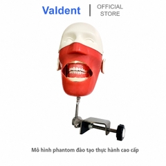 Mô hình phantom đào tạo thực hành cao cấp